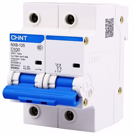 CHINT 2 POLE MCB BREAKER NXB-125 100A-125A